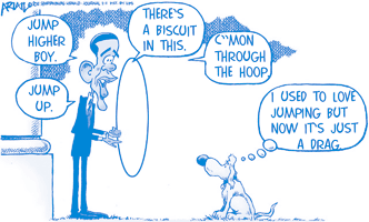 hoop jump biscuit