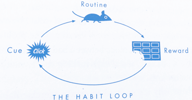 the habit loop